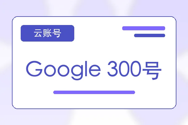 Google 300号购买｜云服务器账号自助下单｜自动发货